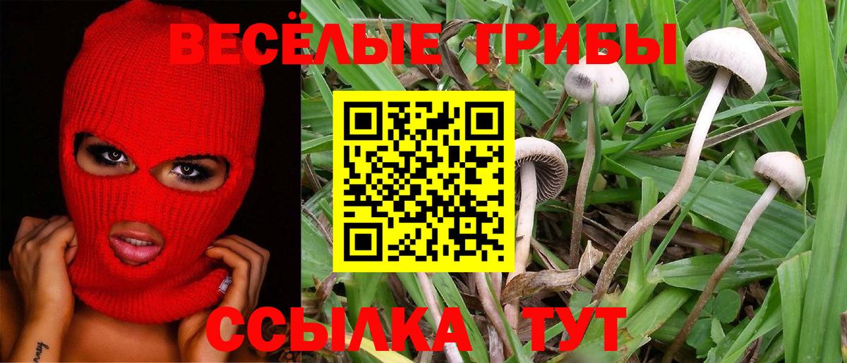 цена   Псилоцибиновые грибы мицелий  Вход с VPN  Владивосток 
